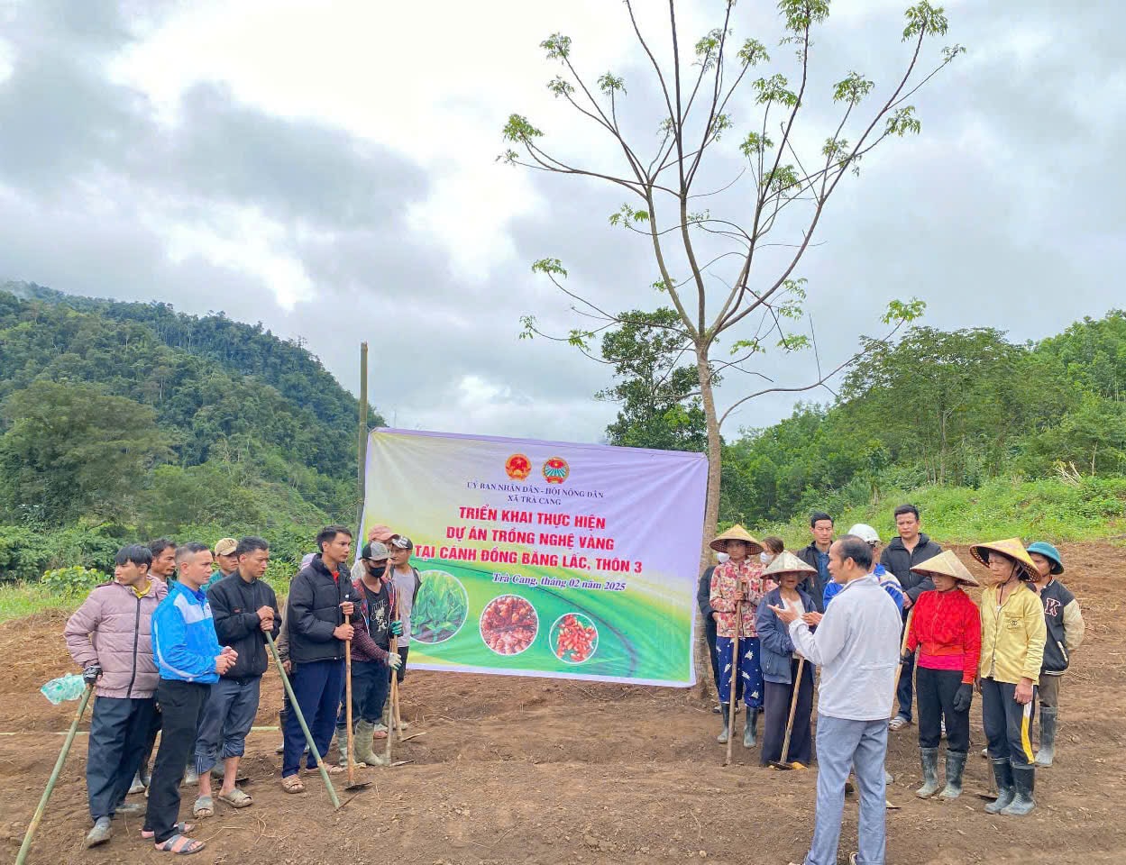 Hình đại diện