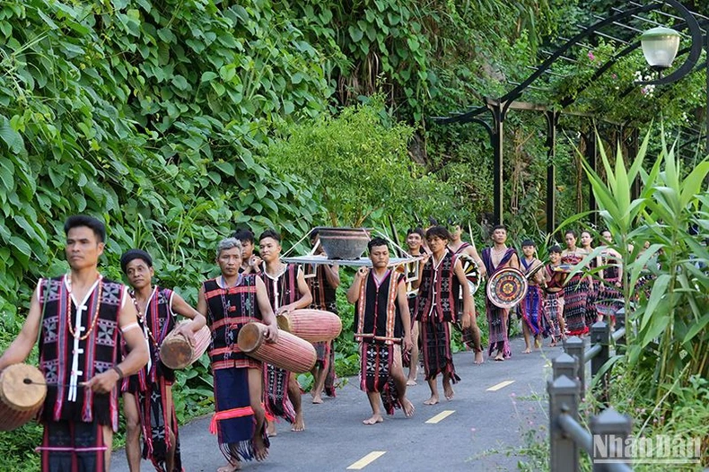 Hình đại diện