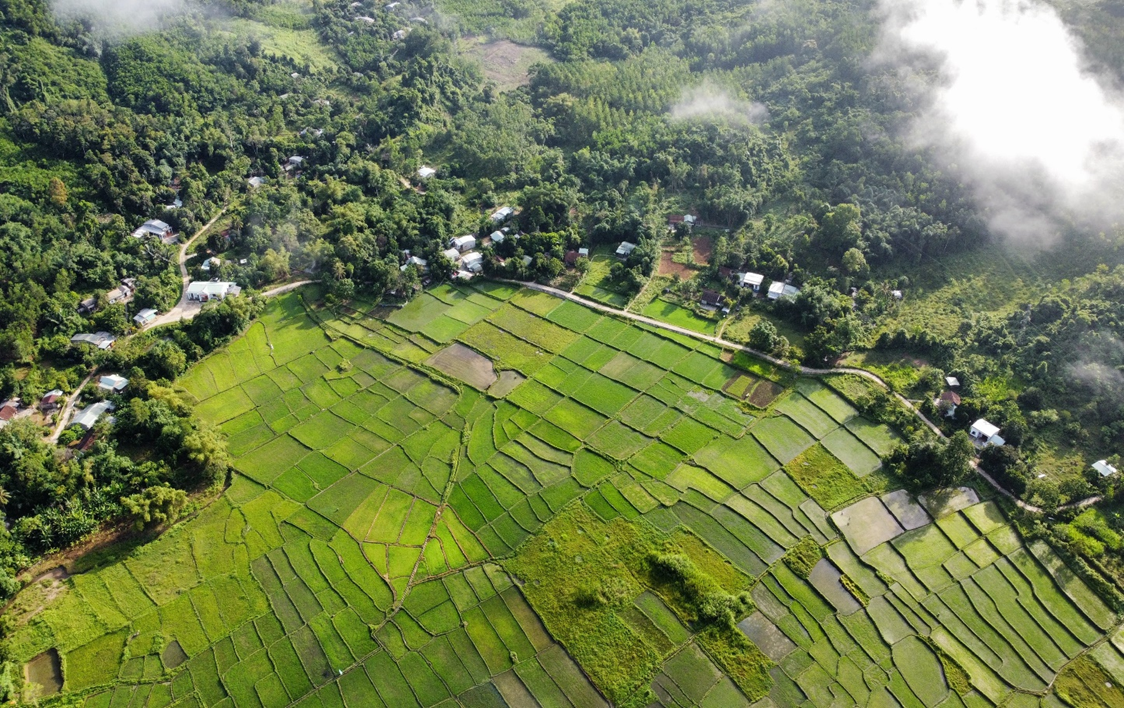 Hình đại diện